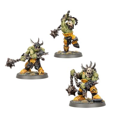 Age of Sigmar Orruk Warclans Wierdbrute Wrekkaz or Brute Ragers