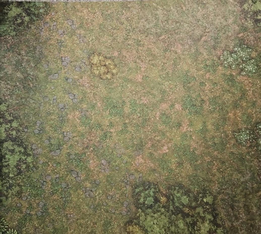 60" by 44"  Wargaming Battlemat - Green Forest
