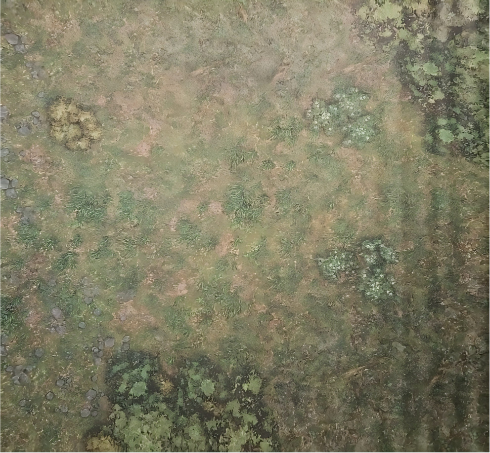 60" by 44"  Wargaming Battlemat - Green Forest